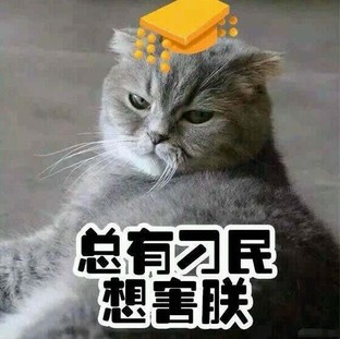 你开源我赚钱 这200万欧版权勒索真好挣